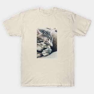 Cat prayers T-Shirt